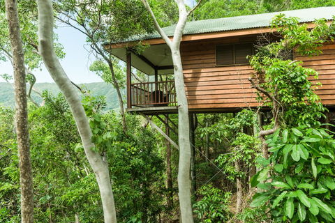 Thala Beach Nature Reserve - New Castle Holiday 17