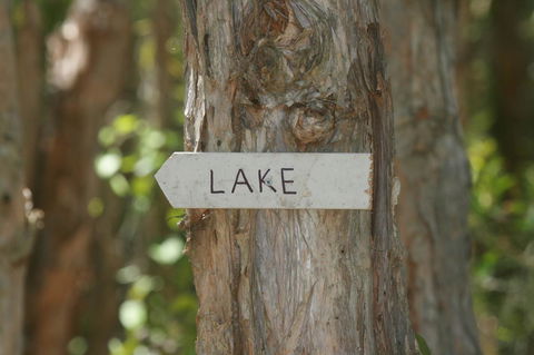 Lake Weyba Noosa Lodge & Kangaroos - New Castle Holiday 36