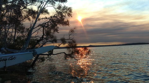 Lake Weyba Noosa Lodge & Kangaroos - New Castle Holiday 40