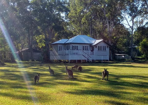 Lake Weyba Noosa Lodge & Kangaroos - New Castle Holiday 0