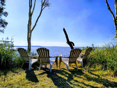 Lake Weyba Noosa Lodge & Kangaroos - New Castle Holiday 44