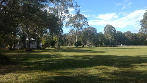 Lake Weyba Noosa Lodge & Kangaroos - New Castle Holiday 23