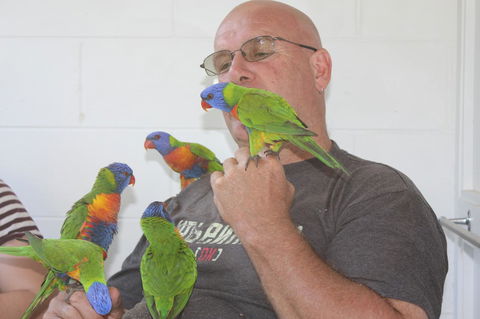 Amaroo On Mandalay, Magnetic Island - New Castle Holiday 33