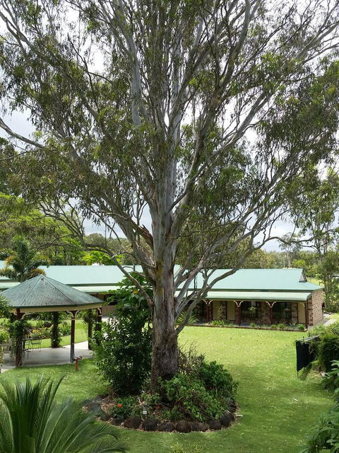 The Bearded Dragon Boutique Hotel - New Castle Holiday 32