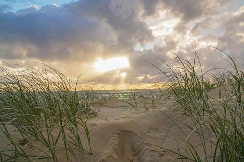 San Marino By The Sea Apartments - New Castle Holiday 29