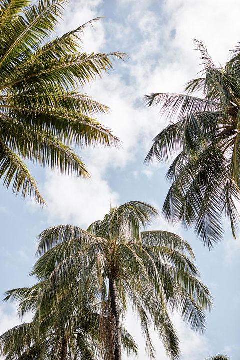 Novotel Cairns Oasis Resort - New Castle Holiday 9