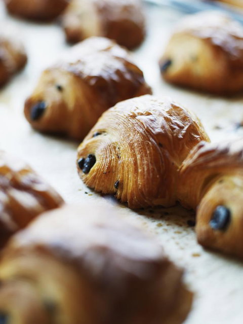 Hotel Indigo Brisbane City Centre, An IHG Hotel - New Castle Holiday 33