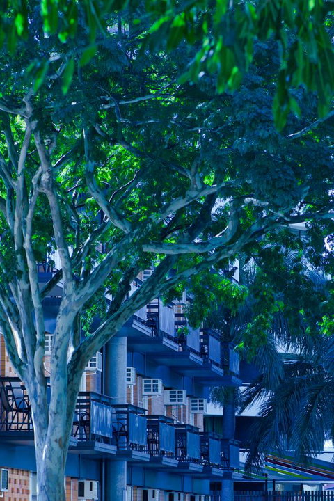 Soho Brisbane - New Castle Holiday 12