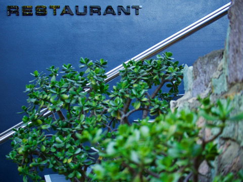 Soho Brisbane - New Castle Holiday 22