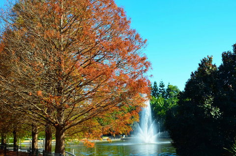 Soho Brisbane - New Castle Holiday 7