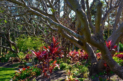 Soho Brisbane - New Castle Holiday 1