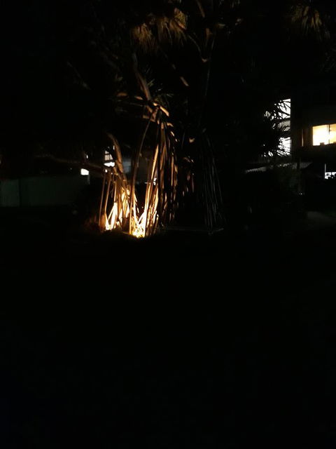 Pandanus Coolum Beach - New Castle Holiday 8