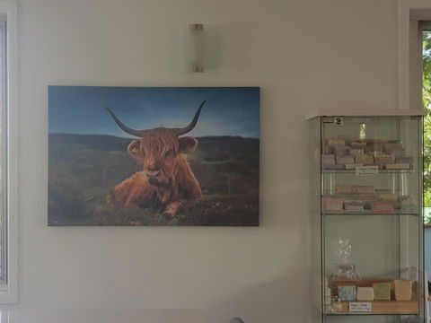 Highland House - New Castle Holiday 4