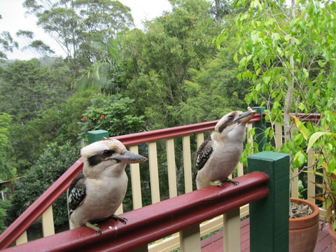 Shasta Place - New Castle Holiday 12