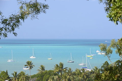 Paddons - New Castle Holiday 8