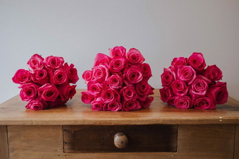 The Lighthouse - New Castle Holiday 27