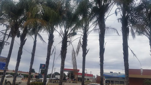 Wentworth Club Motel - New Castle Holiday 2