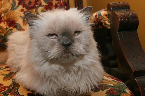 Whale Inn & Restaurant - New Castle Holiday 3