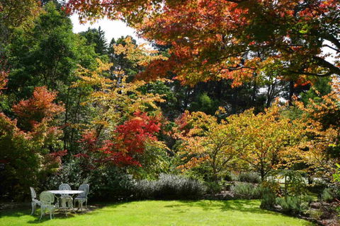 Wimbeldon - New Castle Holiday 3