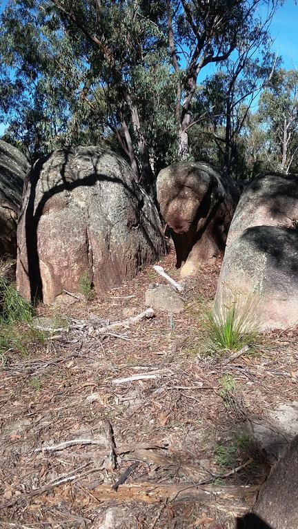 Windswept Country Retreat - New Castle Holiday 3