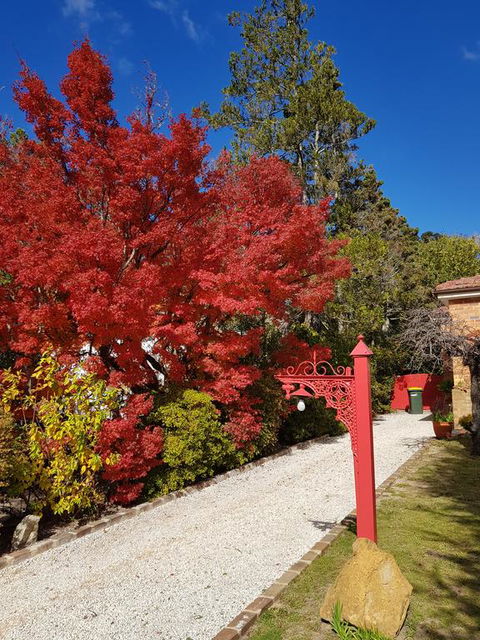 Winston Cottage At Three Sisters - New Castle Holiday 1