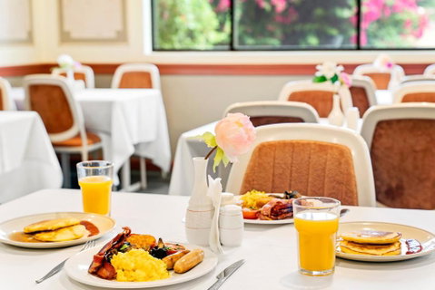 WM Hotel Bankstown - New Castle Holiday 2