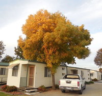 Wodonga Caravan  Cabin Park - New Castle Holiday