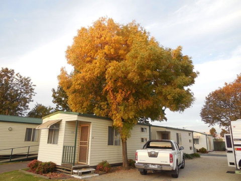 Wodonga Caravan & Cabin Park - New Castle Holiday 0