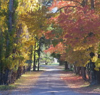 Wombeyan Caves - New Castle Holiday