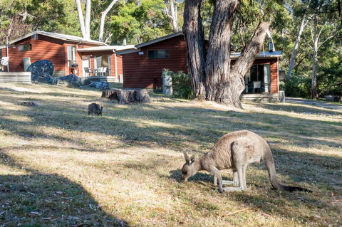Wonderland Cottages - New Castle Holiday 1