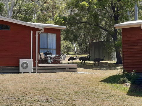 Wonderland Cottages - New Castle Holiday 3