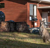 Wonderland Cottages - New Castle Holiday