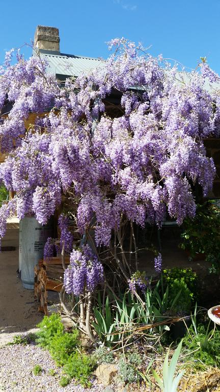 Woodvale At Cooma - New Castle Holiday 3