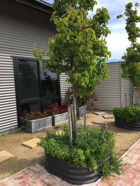 Woolamai Dreaming - New Castle Holiday 2