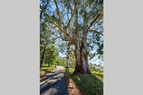 WOOLWAY - New Castle Holiday 1