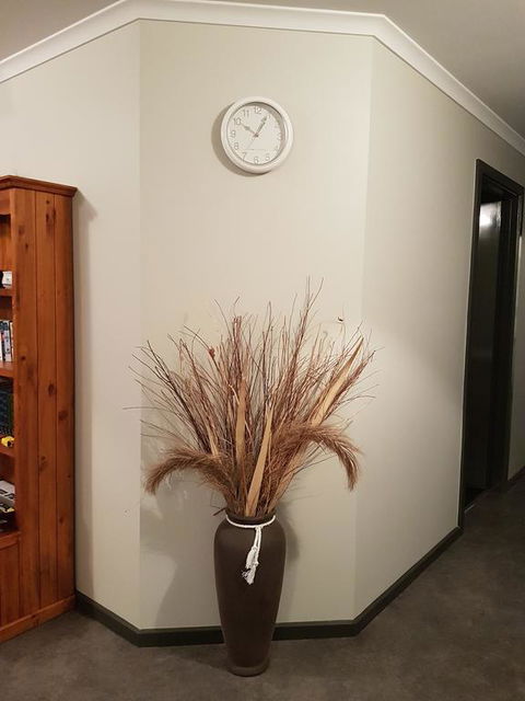 Wudinna Farm View - New Castle Holiday 3