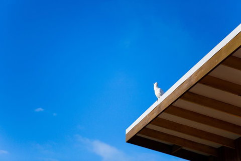 Wye Not Escape - New Castle Holiday 0