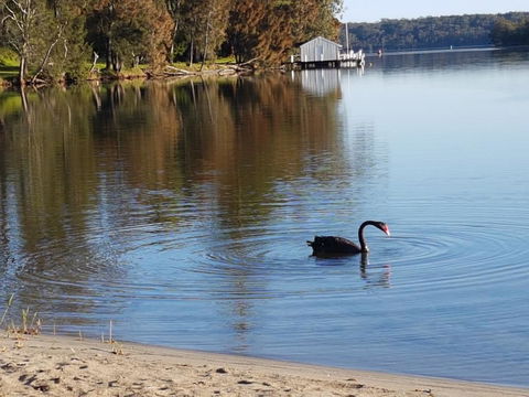 Wyreepi River Cottage - New Castle Holiday 3