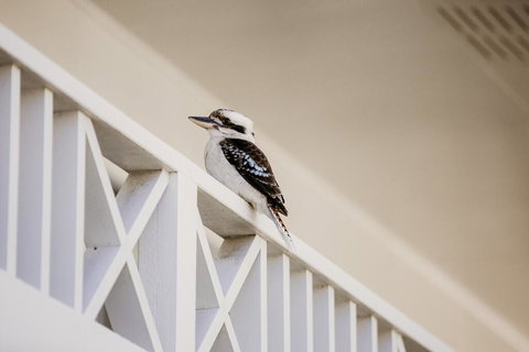 Yeppoon Surfside Motel - New Castle Holiday 2