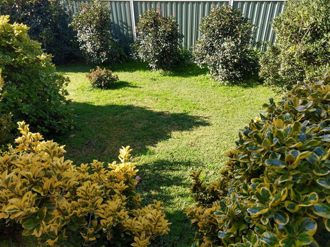 Young Goldrush Motel - New Castle Holiday 3