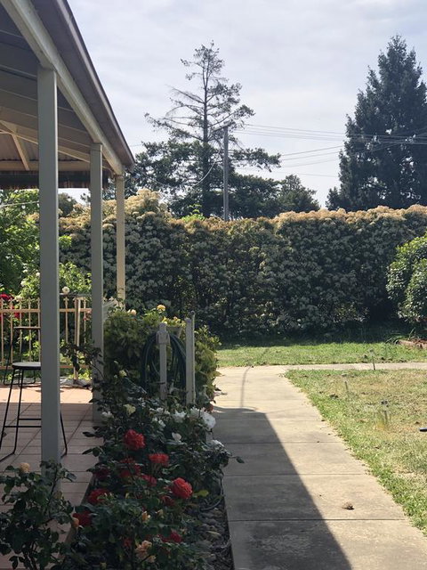 Zen Garde - New Castle Holiday 0