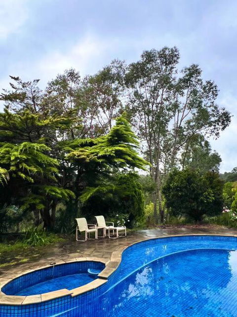 A Lovely Pool House In Forest - New Castle Holiday 2