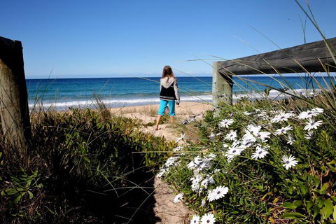 Absolute Beachfront Mollymook - New Castle Holiday 4