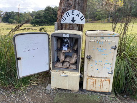 Adina Tiny House Bruny Island - New Castle Holiday 3