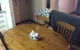 Affordable Apartment Close To City And Beaches - thumb 0