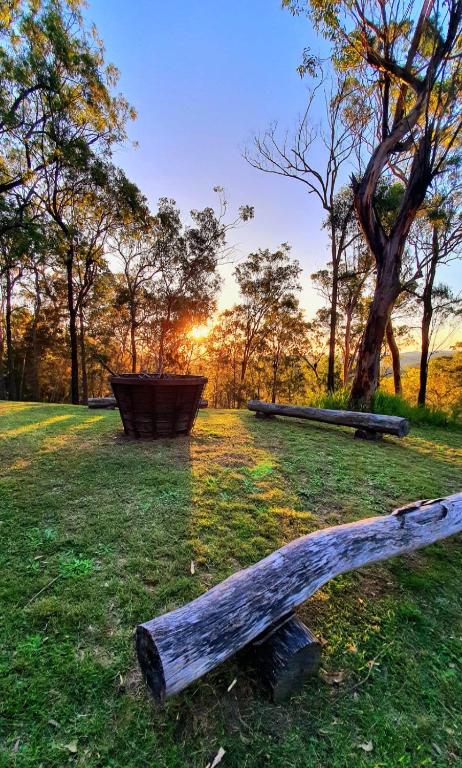 Allawah Bush Retreat - New Castle Holiday 1