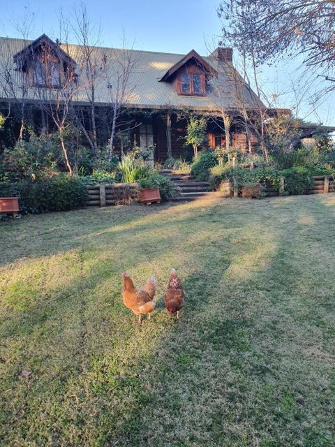 Angaston By The Winter Creek - New Castle Holiday 0