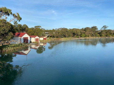 Anglesea Rivergums - New Castle Holiday 1