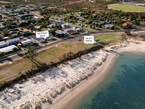 API Pelican Beach Front Apartments Kalbarri - New Castle Holiday 1