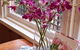 Astley Cottage - thumb 4